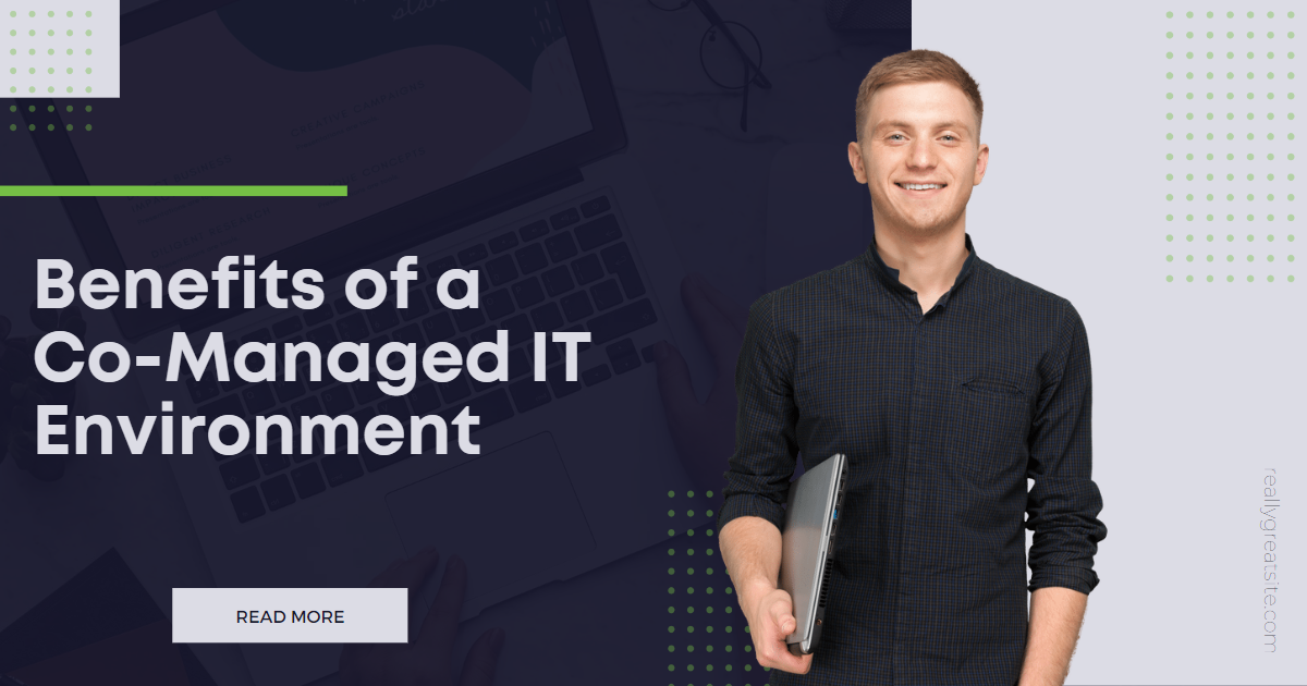 ERGOS Blog Benefits of a Co Managed IT Environment