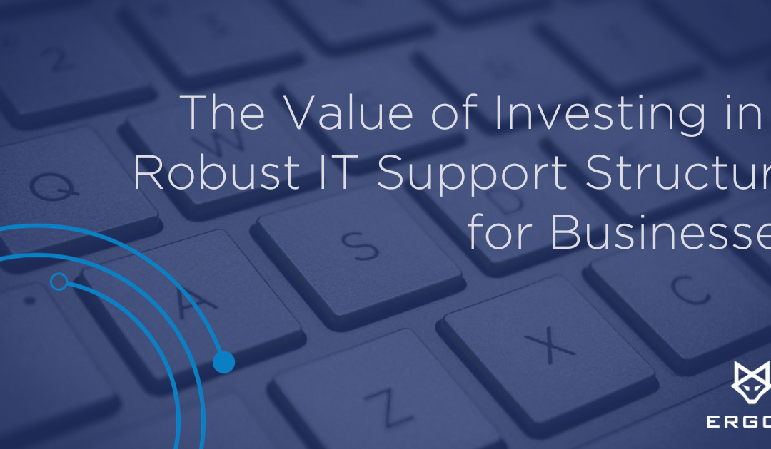 The Value of Investing in a Robust IT Support Structure for Businesses
