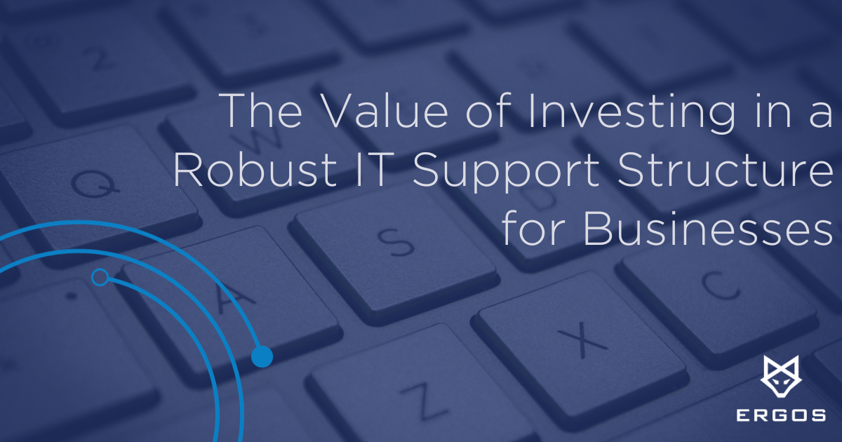 ERGOS Blog The Value of Investing in a Robust IT Support Structure for Businesses