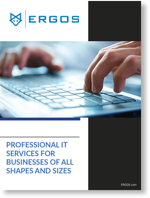 Professional IT Services 1